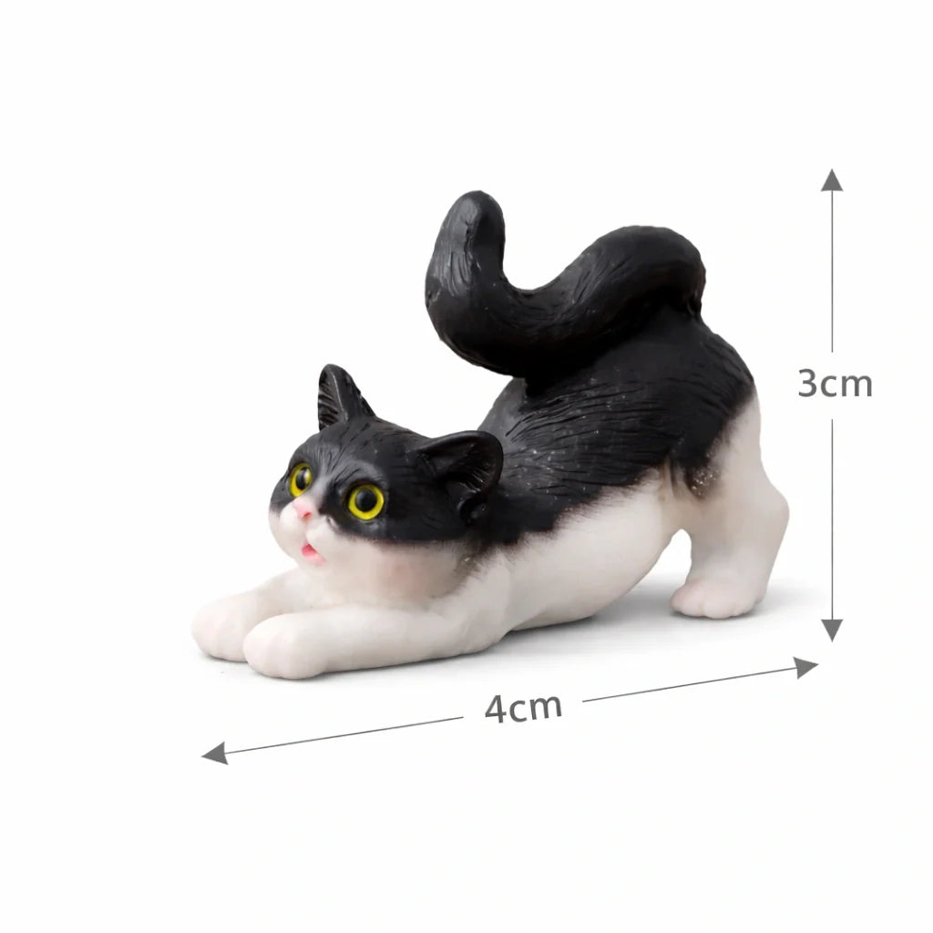 Mini cat