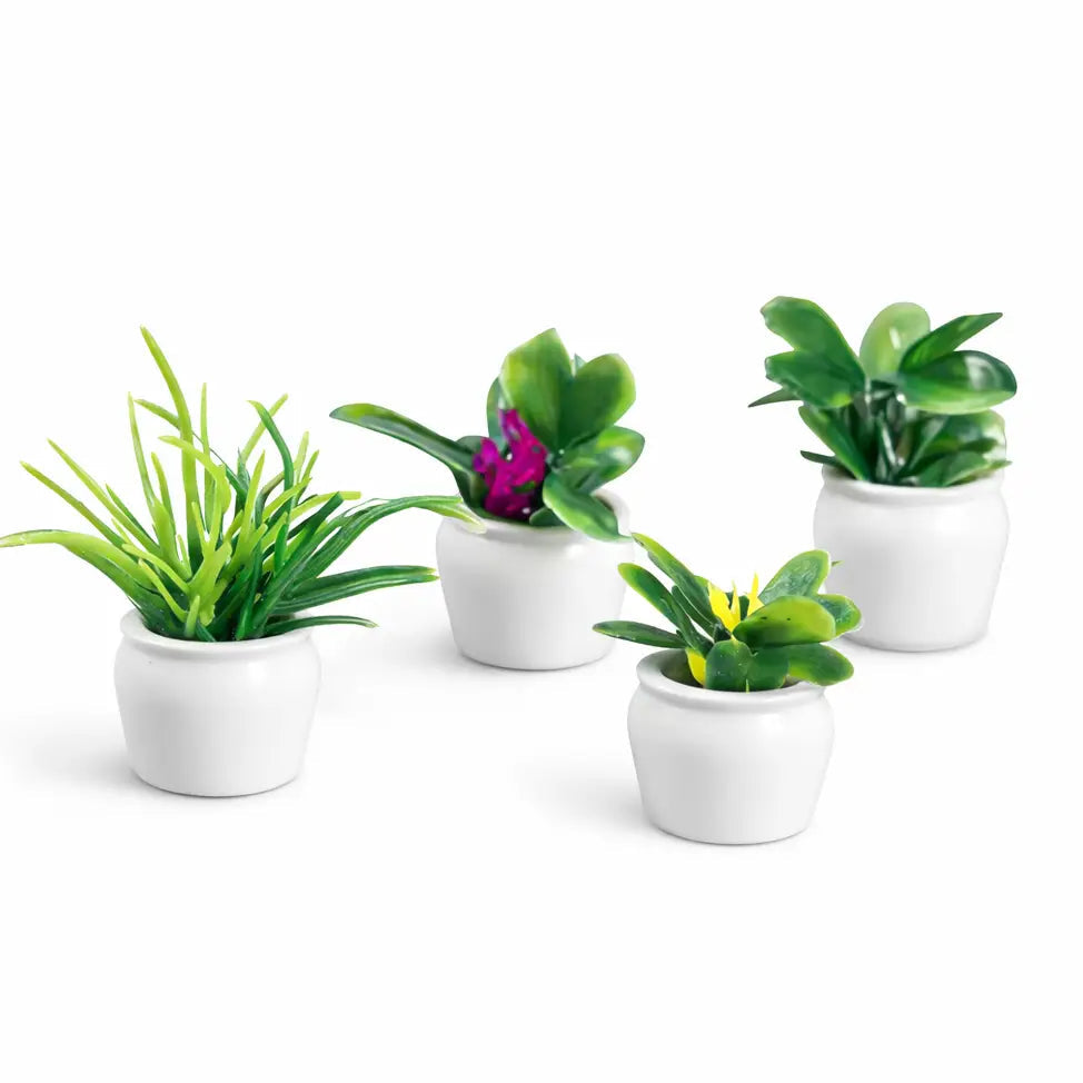 Mini plants